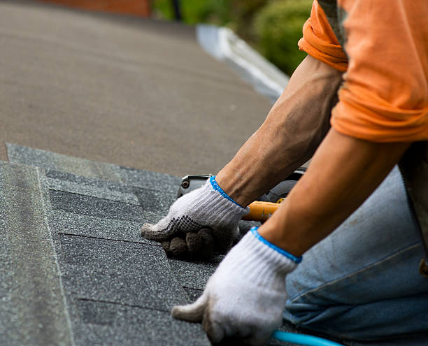 Best Roof Maintenance Services  in Gorman, NC